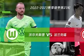 沃尔夫斯堡主场失利，联赛排名下滑的简单介绍