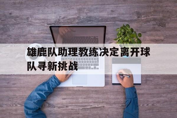 九州官方网站-包含雄鹿队助理教练决定离开球队寻新挑战的词条